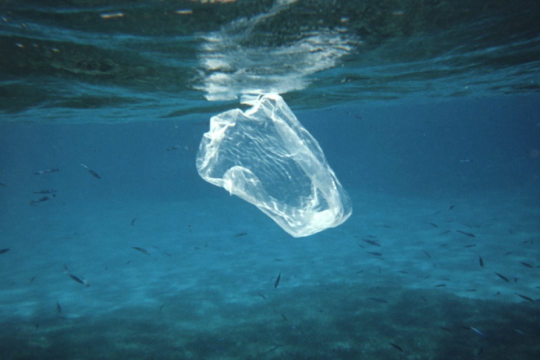 Il Parlamento Europeo approva il bando delle materie plastiche monouso per combattere la plastica negli oceani, nei mari e nei corsi d’acqua.