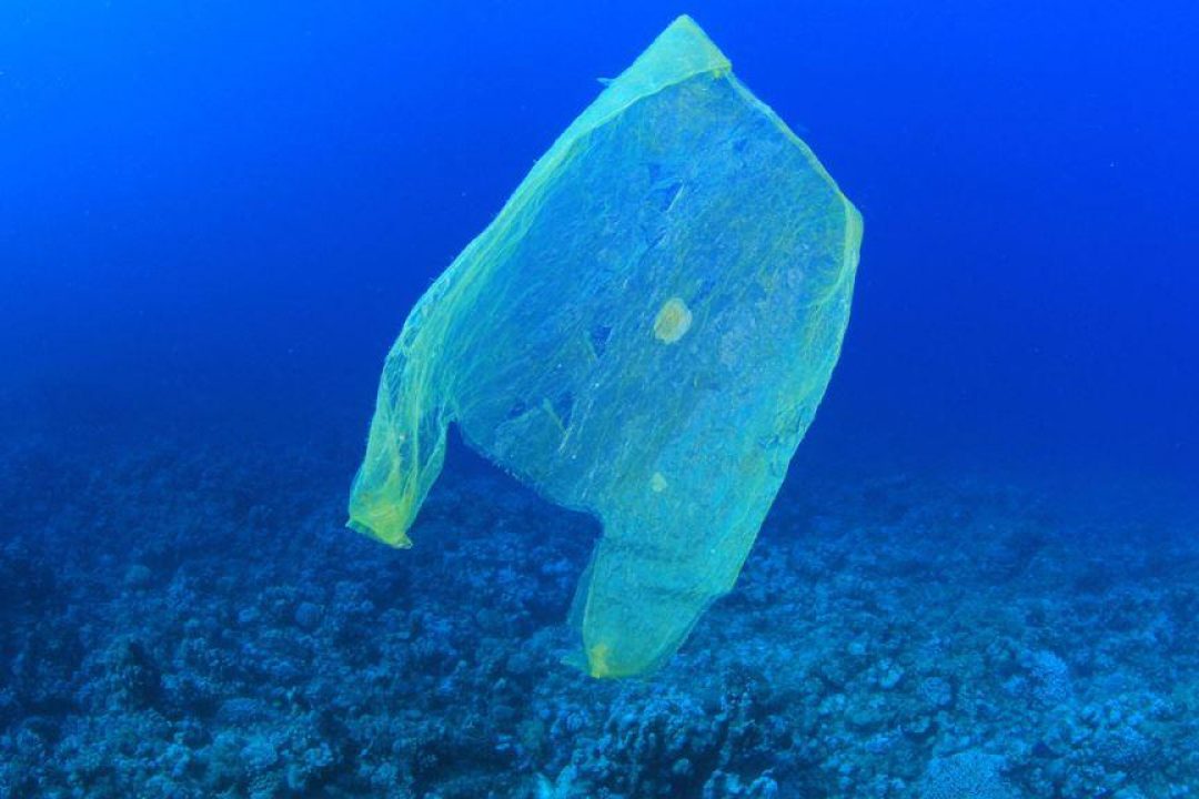 L’IMO ha adottato un piano d’azione per affrontare il problema dei rifiuti marini di plastica provenienti dalle navi